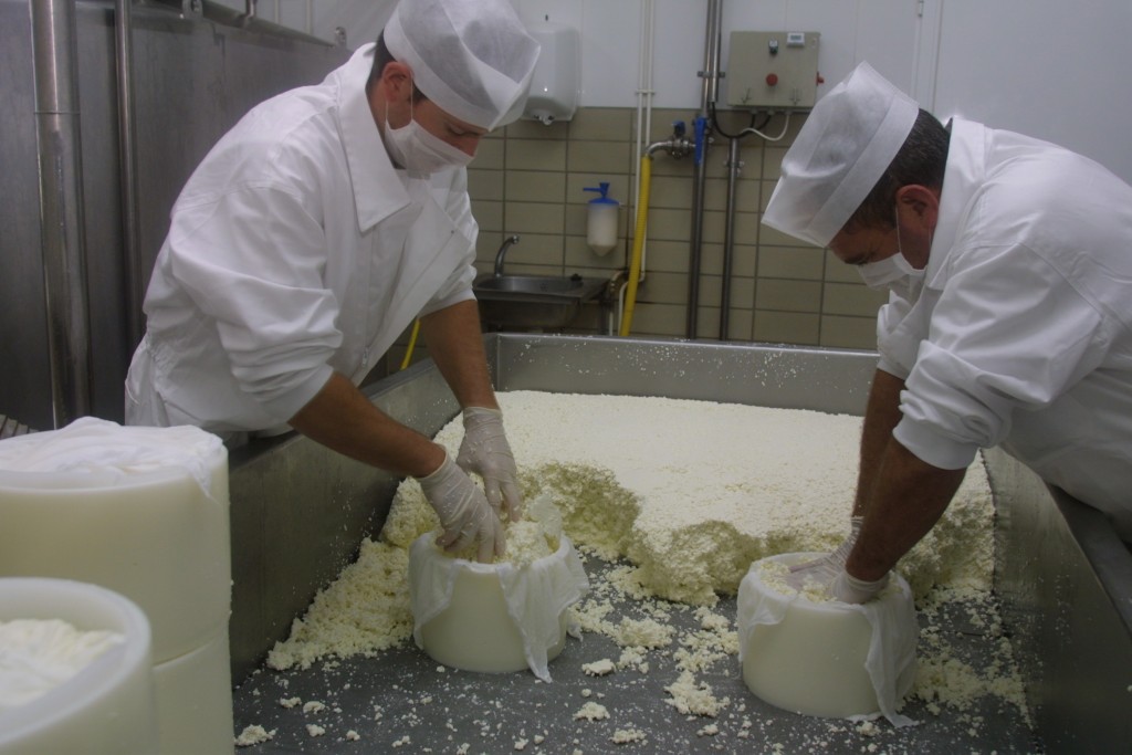 Elaboración artesanal de quesos de oveja curados y semicurados